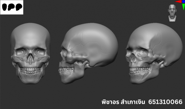 Skull (zbrush)